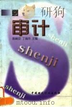 审计（1998 PDF版）