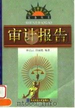 审计报告（1998 PDF版）