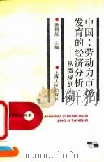中国:劳动力市场发育的经济分析 从微观到宏观 1992 PDF电子版封面 7208013055 符钢战主编
