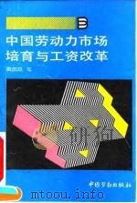 中国劳动力市场培育与工资改革（1994 PDF版）