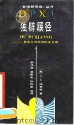 独辟蹊径  具有开创精神的企业家（1990 PDF版）