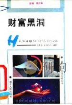 财富黑洞（1994 PDF版）