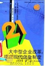 大中型企业改革:建立现代化企业制度 1993 PDF电子版封面 7201017926 吴敬琏等著