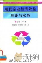 现代企业经济效益理论与实务 1997 PDF电子版封面 7542904493 于玉林主编