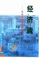 经济魂  企业文化与企业精神（1996 PDF版）