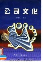 公司文化（1997 PDF版）