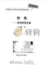 智典  策划智慧风暴（1999 PDF版）