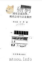 国有企业改革 现代公司与企业集团 1995 PDF电子版封面 780025044X 段文斌,万军著