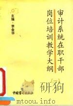 审计系统在职干部岗位培训教学大纲 1 1992 PDF电子版封面 780064149X 李金华主编