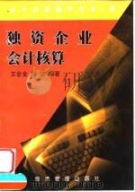 独资企业会计核算（1999 PDF版）