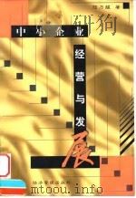中小企业经营与发展（1999 PDF版）