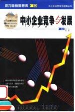 中小企业竞争与发展（1999 PDF版）