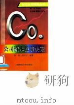 公司资本投资决策（1997 PDF版）