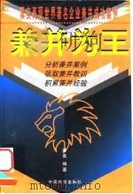 兼并为王（1997 PDF版）