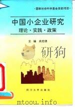 中国小企业研究 理论、实践、政策 1993 PDF电子版封面 7561407459 高宏德主编;《中国小企业研究》课题组编