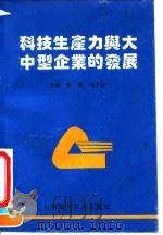 科技生产力与大中型企业的发展 1993 PDF电子版封面 7810323946 张奎,冯子标主编