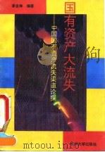 国有资产大流失  中国国有资产流失渠道论探（1994.07 PDF版）