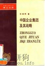 中国企业集团及其战略 1991 PDF电子版封面 7300011438 沈炳熙著