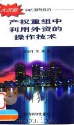 产权重组中利用外资的操作技术（1997 PDF版）