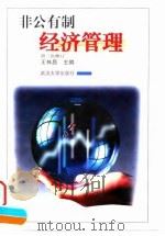 非公有制经济管理  个体私营经济管理概论（1998 PDF版）