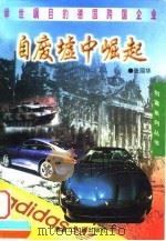 自废墟中崛起  举世瞩目的德国跨国企业   1998  PDF电子版封面  7207038941  张丽华 