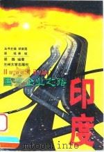 国有企业之路  印度（1999.02 PDF版）