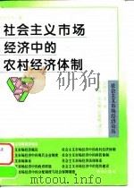 社会主义市场经济中的农村经济体制（1995 PDF版）