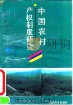 中国农村产权制度研究（1993 PDF版）