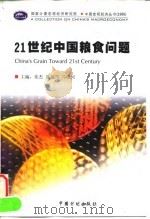 21世纪中国粮食问题（1999 PDF版）