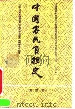 中国农民负担史 第4卷 过渡时期和社会主义初级阶段的农村经济与农民负担 1949-1985 1994 PDF电子版封面 750052269X 中华人民共和国财政部《中国农民负担史》编辑委员会编著