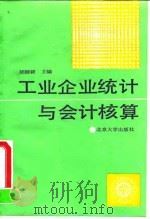 工业企业统计与会计核算（1991 PDF版）