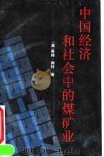 中国经济和社会中的煤矿业 1895-1937 1991 PDF电子版封面 750600223X (澳)赖特著;丁长清译
