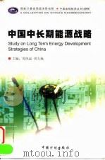 中国中长期能源战略 1999 PDF电子版封面 7800586979 周凤起,周大地主编