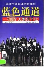 蓝色通道 16个人到16个亿 1998 PDF电子版封面 7501743290 刘勇著