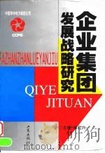 企业集团发展战略研究 中国华中电力集团发展战略课题研究报告 1999 PDF电子版封面 7800124878 林孔兴主编
