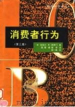 消费者行为 第3版 1999 PDF电子版封面 7505815903 (美)迈克尔·R.所罗门(Michael R.Solomon