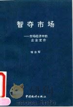 智夺市场  市场经济中的企业定价（1993 PDF版）