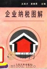 企业纳税图解 '94最新版本 1994 PDF电子版封面 780002671X 袁晓勇,王成才主编