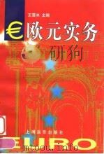 欧元实务 1999 PDF电子版封面 7806138439 王雪冰主编