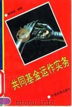 共同基金运作实务 1995 PDF电子版封面 7800872017 陈鸿清编著