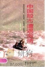 中国股市遭遇激情（1995 PDF版）
