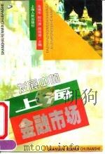 发展中的上海金融市场 1994 PDF电子版封面 7208019231 朱镇华,陆向谦,顾铭德主编;于日新等编写