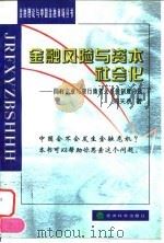 金融风险与资本社会化 国有企业与银行债务关系的制度分析 1998 PDF电子版封面 7505814494 周天勇著