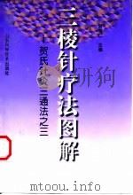 三棱针疗法图解 贺氏针灸三通法之三 1998 PDF电子版封面 7533121473 贺普仁主编