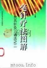 毫针疗法图解 贺氏针灸三通法之二 1998 PDF电子版封面 753312085X 贺普仁主编