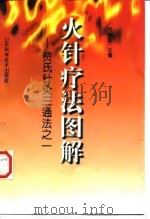 火针疗法图解 贺氏针灸三通法之一 1998 PDF电子版封面 7533120434 贺普仁主编