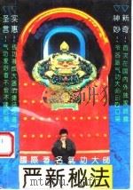 严新秘法（1994 PDF版）