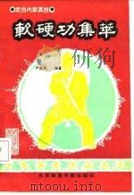 软硬功集萃  武当内家真技（1991 PDF版）