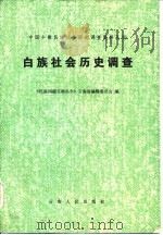 白族社会历史调查（1983 PDF版）
