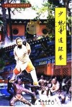 少林寺连环拳（1999 PDF版）